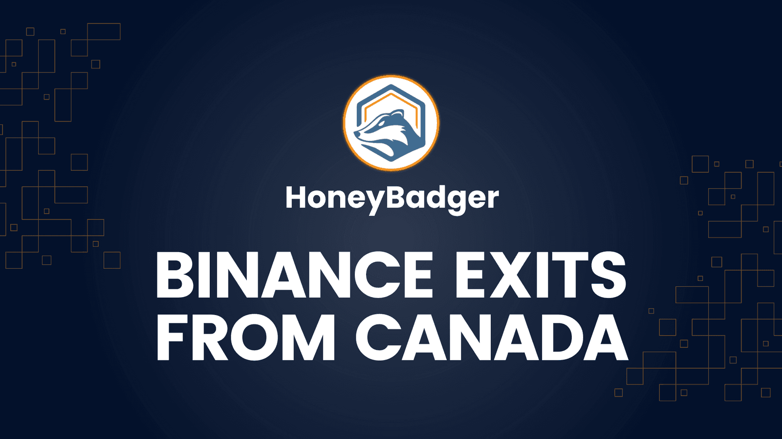 HoneyBadger Steps Up as Binance Steps Down